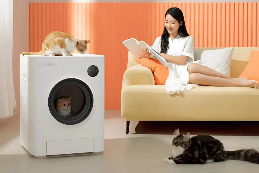 automatic cat boxes